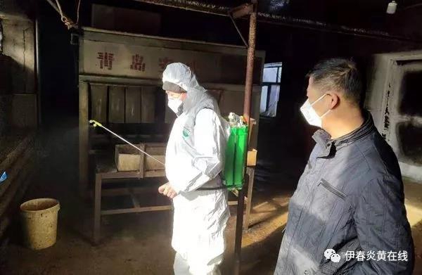 1580800398365044.jpg 11.jpg